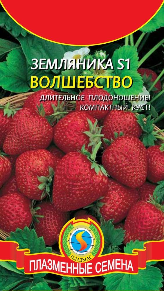 Семена Клубники Купить В Самаре