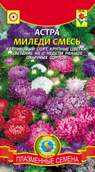 Семена Астра Миледи смесь ПЛ