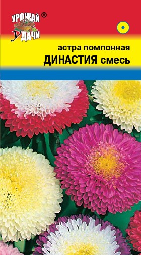 Семена Астра помпонная Династия смесь УУД