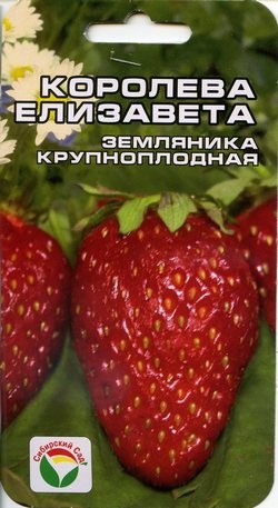 Семена Клубника Королева Елизавета (Сиб сад)