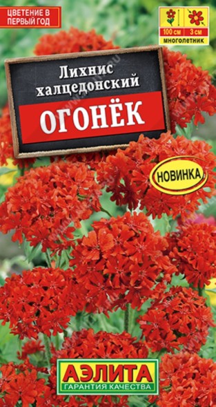 Семена Лихнис Огонек (Аэлита)