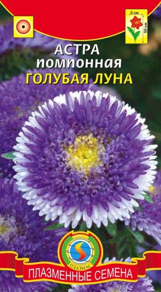 Семена Астра помпонная Голубая Луна ПЛ