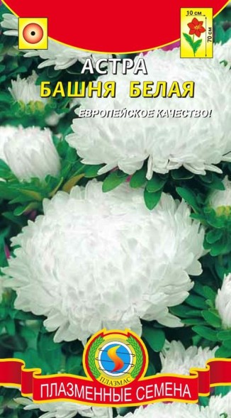 Семена Астра Башня Белая ПЛ
