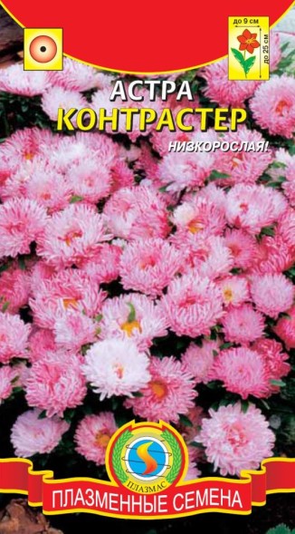 Семена Астра Контрастер ПЛ