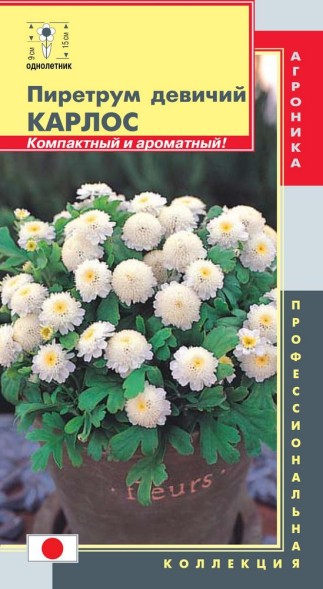 Семена Пиретрум девичий Карлос ПЛ