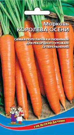 Морковь Королева Осени УД