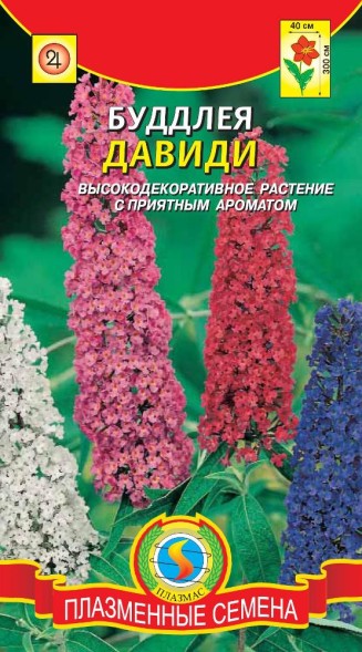 Семена Буддлея Давиди ПЛ