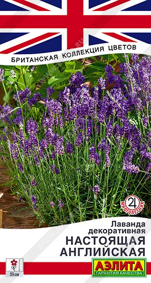 Семена Лаванда декоративная настоящая Английская (Аэлита)