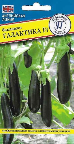 Семена Баклажан Галактика F1 (Престиж)