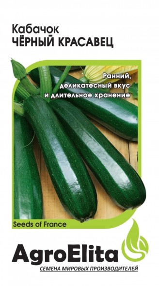 Семена Кабачок Черный красавец  (АгроЭлита)