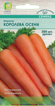 Морковь Королева осени (Поиск)