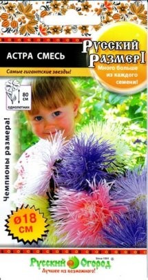 Семена Астра Смесь Русский размер II НК