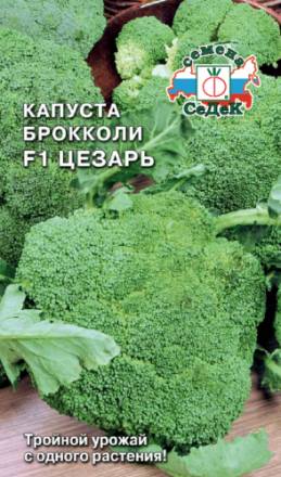 Капуста брокколи Цезарь F1 (СеДеК)