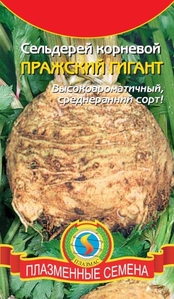 Семена Сельдерей корневой Пражский Гигант ПЛ