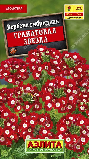 Семена Вербена Гранатовая звезда гибридная (Аэлита)
