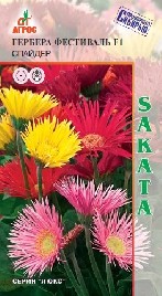 Семена Гербера Фестиваль F1 Спайдер (Агрос)