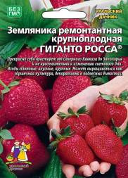 Земляника Гиганто Росса - ремонтантная УД
