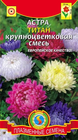 Семена Астра Титан ПЛ