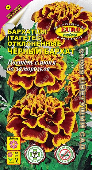 Семена Бархатцы отклоненные Черный бархат (Аэлита)