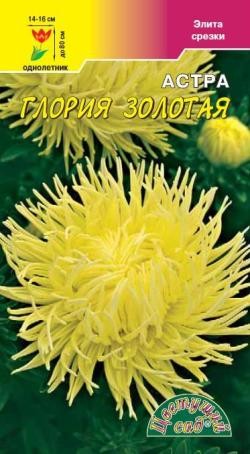Семена Астра Глория Золотая хризантемовидная ЦС