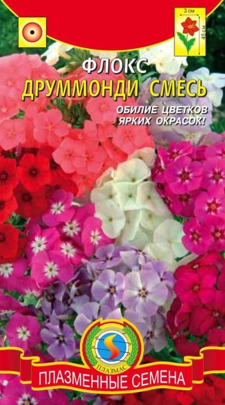 Семена Флокс Друммонди смесь ПЛ