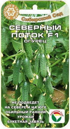Семена Огурец Северный поток F1 (Сиб Сад)
