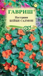 Настурция Бейби салмон (Гавриш)