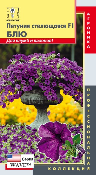 Семена Петуния стелющаяся F1 (серия Wave™) Блю ПЛ