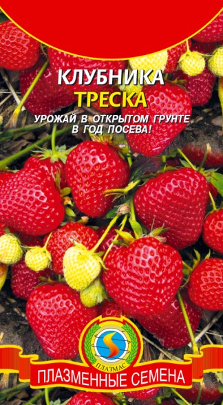 Семена Клубника Треска, 10 шт ПЛ