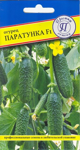 Огурец Паратунка F1 (Престиж) Огурец Паратунка F1 (Престиж)