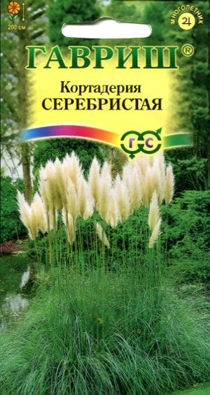 Семена Кортадерия Серебристая (Пампасная трава) Гариш