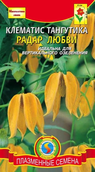 Семена Клематис Тангутика &amp;quot;Радар любви&amp;quot; ПЛ