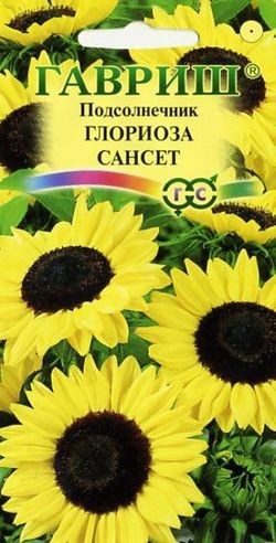 Семена Подсолнечник декоративный Глориоза Сансет (Гавриш)