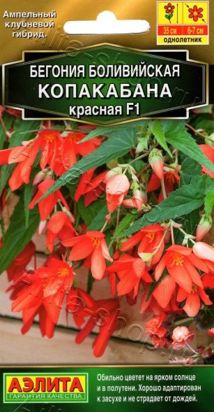 Семена Бегония Копакабана боливийская красная F1 (Аэлита)