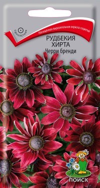 Семена Рудбекия хирта Черри бренди (Поиск)