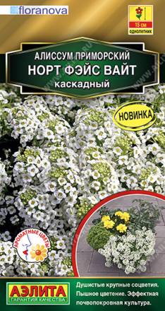 Алиссум ампельный Норт фэйс вайт каскадный (Аэлита)