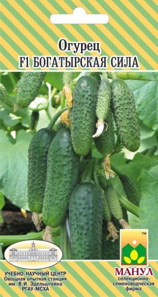 Семена Огурец Богатырская сила F1 Манул