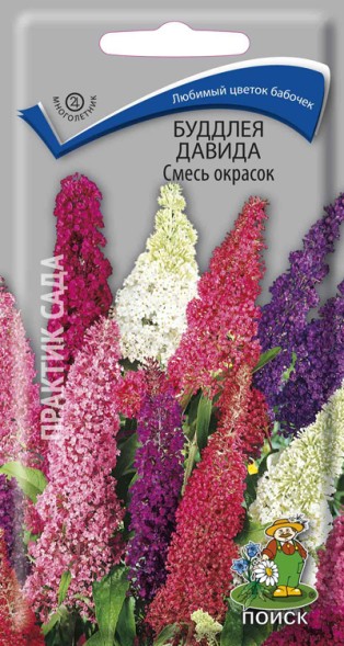 Семена Буддлея Давида Смесь окрасок (Поиск)