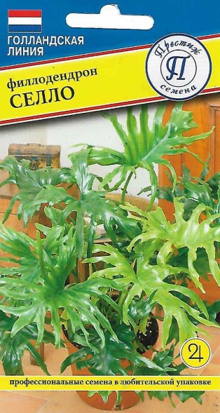 Семена Филодендрон Селло (Престиж)