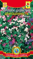 Горошек душистый Драгоценность ПЛ