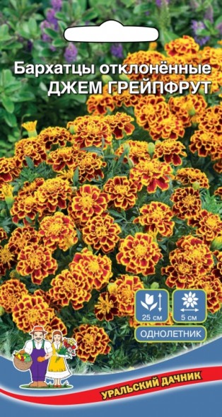 Семена Бархатцы отклоненные - Джем Грейпфрут УД