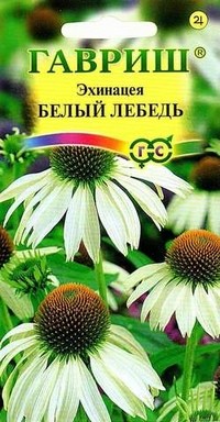 Семена Эхинацея Белый лебедь (Гавриш)