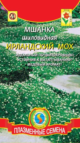 Семена Мшанка шиловидная Ирландский мох ПЛ