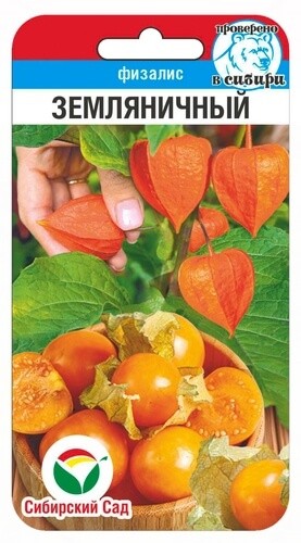 Семена Физалис Земляничный (Сиб сад)