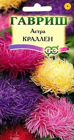 Семена Астра Краллен смесь (Гавриш)
