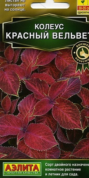 Семена Колеус Блюме Красный Вельвет (Аэлита)