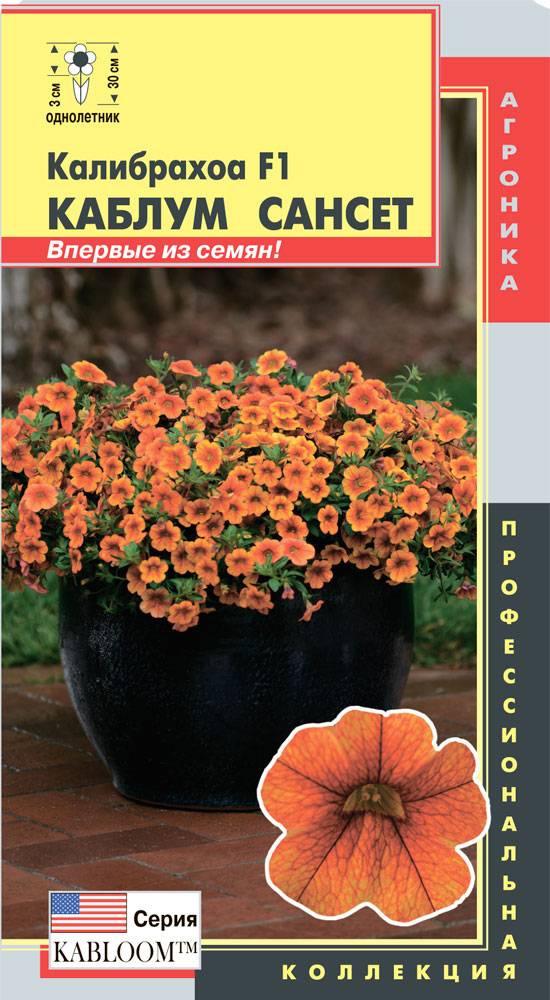 Купить Семена Калибрахоа Оптом