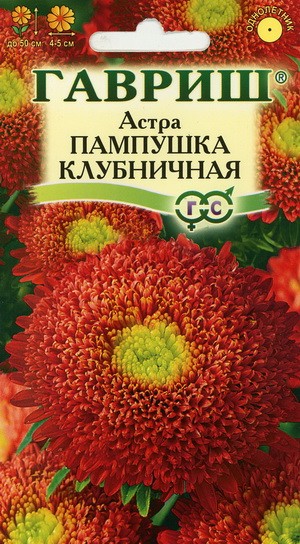 Семена Астра Пампушка клубничная (Гавриш) 