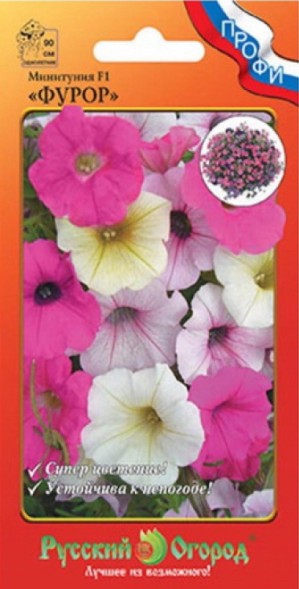 Семена Минитуния Фурор, смесь F1 (НК)