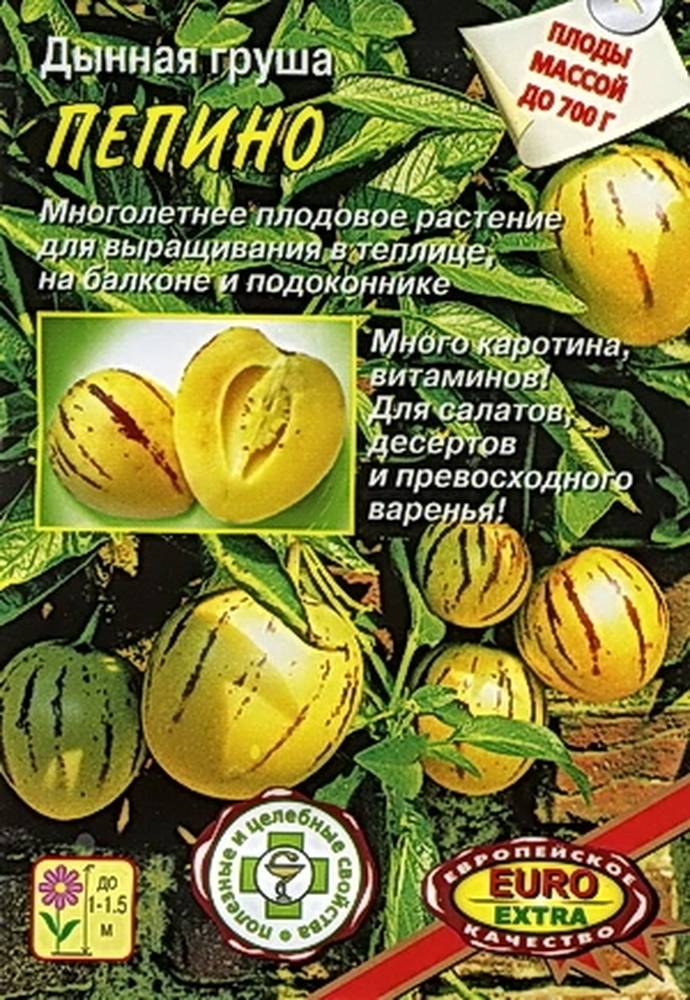 Фрукт Пепино Фото
